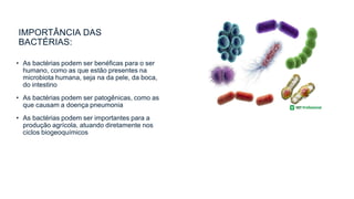 IMPORTÂNCIA DAS
BACTÉRIAS:
• As bactérias podem ser benéficas para o ser
humano, como as que estão presentes na
microbiota humana, seja na da pele, da boca,
do intestino
• As bactérias podem ser patogênicas, como as
que causam a doença pneumonia
• As bactérias podem ser importantes para a
produção agrícola, atuando diretamente nos
ciclos biogeoquímicos
 