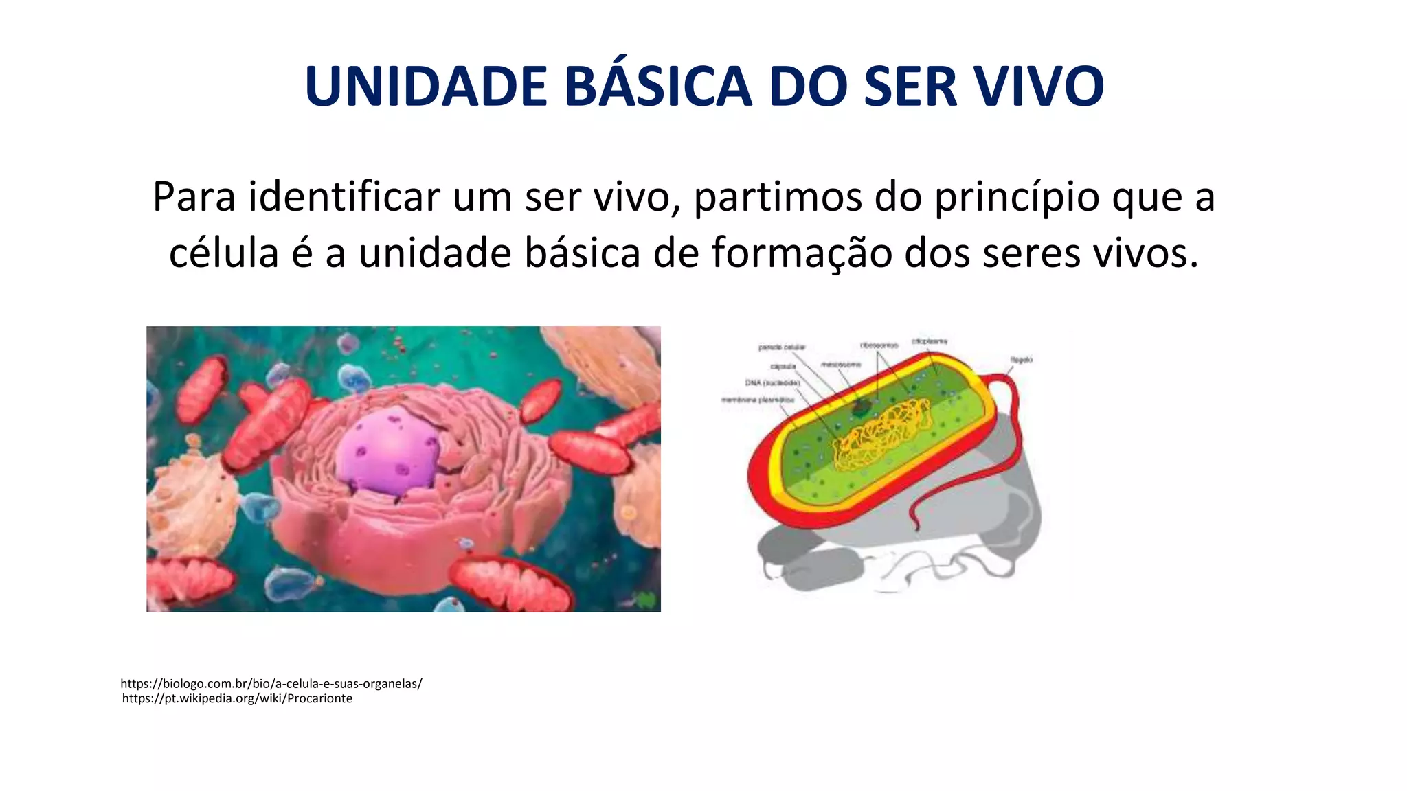 CARACTERÍSTICAS GERAIS DOS SERES VIVOS E DOS VÍRUS.pptx