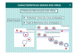 CARACTERÍSTICAS GERAIS DOS VÍRUSCARACTERÍSTICAS GERAIS DOS VÍRUS 1212
PENETRAÇÃO
ETAPAS DA REPLICAÇÃO DOS VÍRUS:
“Endocitose” (vírus nús e vírus envelopados);
Fusão de Membranas (vírus envelopados);
Endocitose
Endocitose
Fusão de Membranas
 