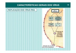 CARACTERÍSTICAS GERAIS DOS VÍRUSCARACTERÍSTICAS GERAIS DOS VÍRUS 1414
REPLICAÇÃO DOS VÍRUS RNA:
 