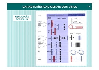 CARACTERÍSTICAS GERAIS DOS VÍRUSCARACTERÍSTICAS GERAIS DOS VÍRUS 1616
REPLICAÇÃO
DOS VÍRUS:
 