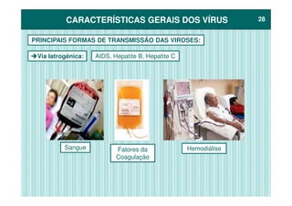 CARACTERÍSTICAS GERAIS DOS VÍRUSCARACTERÍSTICAS GERAIS DOS VÍRUS 2828
Via Iatrogênica:
PRINCIPAIS FORMAS DE TRANSMISSÃO DAS VIROSES:
AIDS, Hepatite B, Hepatite C
Sangue Fatores da
Coagulação
Hemodiálise
 