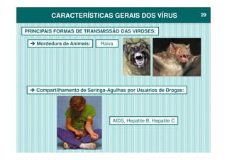 CARACTERÍSTICAS GERAIS DOS VÍRUSCARACTERÍSTICAS GERAIS DOS VÍRUS 2929
Mordedura de Animais:
PRINCIPAIS FORMAS DE TRANSMISSÃO DAS VIROSES:
Raiva
Compartilhamento de Seringa-Agulhas por Usuários de Drogas:
AIDS, Hepatite B, Hepatite C
 