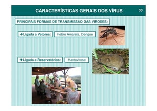 CARACTERÍSTICAS GERAIS DOS VÍRUSCARACTERÍSTICAS GERAIS DOS VÍRUS 3030
Ligada a Vetores:
PRINCIPAIS FORMAS DE TRANSMISSÃO DAS VIROSES:
Febre Amarela, Dengue
Ligada a Reservatórios: Hantavirose
 