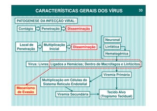 CARACTERÍSTICAS GERAIS DOS VÍRUSCARACTERÍSTICAS GERAIS DOS VÍRUS 3333
PATOGENESE DA INFECÇÃO VIRAL:
Contágio Penetração Disseminação
Local de
Penetração
Neuronal
Linfática
Multiplicação
Inicial
HematogênicaHematogênica
Disseminação
Vírus: Livres; Ligados a Hemácias; Dentro de Macrófagos e Linfócitos
Viremia Primária
Tecido Alvo
(Tropismo Tecidual)
Multiplicação em Células do
Sistema Retículo Endotelial
Viremia Secundária
Mecanismo
de Evasão
 