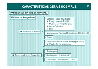 CARACTERÍSTICAS GERAIS DOS VÍRUSCARACTERÍSTICAS GERAIS DOS VÍRUS 3636
PATOGENESE DA INFECÇÃO VIRAL:
Defesas do Hospedeiro
• Macrófagos, Células Dendríticas, Células NK
Barreiras Naturais
• Defesas Físico-Químicas:
Integridade do Epitélio
Muco + Movimento Ciliar
Ácido Gástrico
Bile
Resposta Imune Específica
• Febre
• Respostas das Células à Infecção Viral:
Produção de Interferon
• Anticorpos + Células NK
• Linfócitos T citotóxicos (TDC8)
• Anticorpos
 