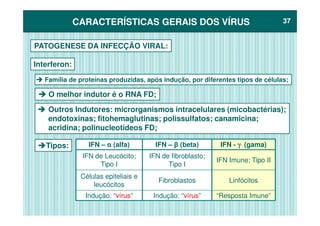 CARACTERÍSTICAS GERAIS DOS VÍRUSCARACTERÍSTICAS GERAIS DOS VÍRUS 3737
PATOGENESE DA INFECÇÃO VIRAL:
Interferon:
Família de proteínas produzidas, após indução, por diferentes tipos de células;
O melhor indutor é o RNA FD;
Outros Indutores: microrganismos intracelulares (micobactérias);Outros Indutores: microrganismos intracelulares (micobactérias);
endotoxinas; fitohemaglutinas; polissulfatos; canamicina;
acridina; polinucleotídeos FD;
Tipos: IFN – α (alfa) IFN – β (beta) IFN - γγγγ (gama)
IFN de Leucócito;
Tipo I
IFN de fibroblasto;
Tipo I
IFN Imune; Tipo II
Células epiteliais e
leucócitos
Fibroblastos Linfócitos
Indução: “vírus” Indução: “vírus” “Resposta Imune”
 