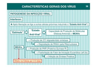 CARACTERÍSTICAS GERAIS DOS VÍRUSCARACTERÍSTICAS GERAIS DOS VÍRUS 3838
PATOGENESE DA INFECÇÃO VIRAL:
Interferon:
Após liberação se liga a outras células próximas induzindo o “Estado Anti-Viral”;
Capacidade de Produção de Moléculas
Efetoras Antivirais = MEAVs
“Estímulo”
“Estado
Anti-Viral” Efetoras Antivirais = MEAVsAnti-Viral”
MEAVs
Efeito na Célula por 2-3 dias
→ Produção de 2’5’ oligoadenilato sintetase
→ Degradação de RNAm pela Ribonuclease
→ Produção de PKR (Proteína Quinase R)
→ Fosforilação do Fator de Iniciação Eucariótico (elf-2α)
→ Inibição da Síntese Protéica
 
