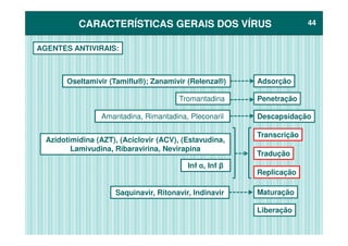CARACTERÍSTICAS GERAIS DOS VÍRUSCARACTERÍSTICAS GERAIS DOS VÍRUS 4444
Oseltamivir (Tamiflu®); Zanamivir (Relenza®) Adsorção
Penetração
Descapsidação
Tromantadina
Amantadina, Rimantadina, Pleconaril
AGENTES ANTIVIRAIS:
Transcrição
Tradução
Replicação
Maturação
Liberação
Azidotimidina (AZT), (Aciclovir (ACV), (Estavudina,
Lamivudina, Ribaravirina, Nevirapina
Inf α, Inf β
Saquinavir, Ritonavir, Indinavir
 