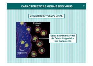 CARACTERÍSTICAS GERAIS DOS VÍRUSCARACTERÍSTICAS GERAIS DOS VÍRUS 77
ORIGEM DO ENVELOPE VIRAL:
PartículaPartícula
ViralViral
Saída da Partícula Viral
da Célula Hospedeira
por Brotamento
CélulaCélula
HospedeiraHospedeira
 