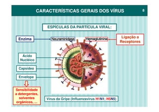 CARACTERÍSTICAS GERAIS DOS VÍRUSCARACTERÍSTICAS GERAIS DOS VÍRUS 88
ESPÍCULAS DA PARTÍCULA VIRAL:
Enzima
Ligação a
Receptores
ÁcidoÁcido
Nucléico
Capsídeo
Envelope
Sensibilidade
a detergentes,
solventes
orgânicos, ...
Vírus da Gripe (Influenzavirus H1N1; H5N5)
 