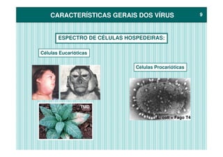 CARACTERÍSTICAS GERAIS DOS VÍRUSCARACTERÍSTICAS GERAIS DOS VÍRUS 99
ESPECTRO DE CÉLULAS HOSPEDEIRAS:
Células Eucarióticas
Células Procarióticas
TMD
E. coli + Fago T4
 