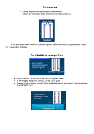 Genes alelos
 Genes responsáveis pela mesma característica.
 Situam-se na mesma zona dos cromossomas hómologos.
Cada alelo pode conter informação alternativa para a mesma característica, por exemplo, cabelo
liso versus cabelo ondulado.
Características monogénicas.
 Para a mesma característica, existem dois genes alelos.
 A informação dos genes alelos é, neste caso, igual.
 Quando para a mesma característica o indivíduo herda genes com informação igual,
é HOMOZIGÓTICO
 