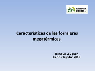 Características de las forrajeras megatérmicas  Trenque Lauquen  Carlos Tejedor 2010 