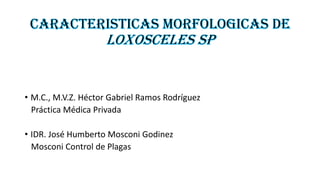 • M.C., M.V.Z. Héctor Gabriel Ramos Rodríguez
Práctica Médica Privada
• IDR. José Humberto Mosconi Godinez
Mosconi Control de Plagas
 