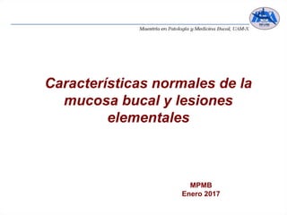 Características normales de la
mucosa bucal y lesiones
elementales
MPMB
Enero 2017
 