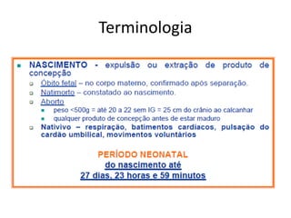 Terminologia
 