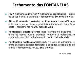 Fechamento das FONTANELAS
 