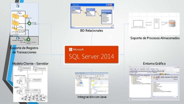 Características SQL Server, MariaDB, MySql