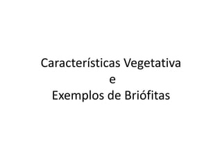 Características Vegetativa
e
Exemplos de Briófitas
 