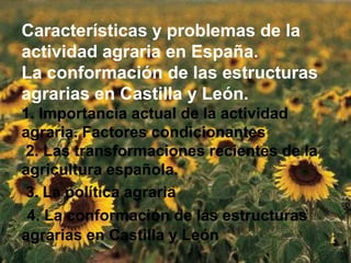 Características y problemas de la
actividad agraria en España.
La conformación de las estructuras
agrarias en Castilla y León.
1. Importancia actual de la actividad
agraria. Factores condicionantes
2. Las transformaciones recientes de la
agricultura española.
3. La política agraria
4. La conformación de las estructuras
agrarias en Castilla y León
 