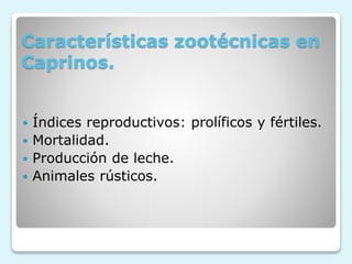 Características zootécnicas en
Caprinos.
 Índices reproductivos: prolíficos y fértiles.
 Mortalidad.
 Producción de leche.
 Animales rústicos.
 