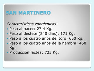 SAN MARTINERO
Características zootécnicas:
 Peso al nacer: 27.4 Kg.
 Peso al destete (240 días): 171 Kg.
 Peso a los cuatro años del toro: 650 Kg.
 Peso a los cuatro años de la hembra: 450
Kg.
 Producción láctea: 725 Kg.
 