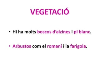 VEGETACIÓ
• Hi ha molts boscos d’alzines i pi blanc.
• Arbustos com el romaní i la farigola.
 