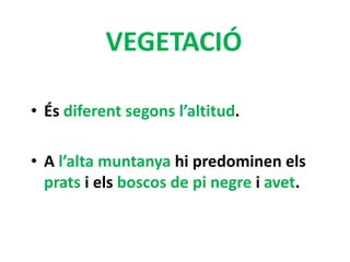 VEGETACIÓ
• És diferent segons l’altitud.
• A l’alta muntanya hi predominen els
prats i els boscos de pi negre i avet.
 