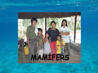 5.2. VERTEBRATS 5.2.1. PEIXOS 5.2.2. AMFIBIS 5.2.3. RÈPTILS 5.2.4. OCELLS 5.2.5. MAMÍFERS 