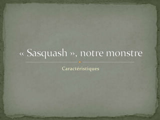 Caractéristiques « Sasquash », notre monstre 