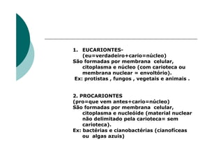 1. EUCARIONTES-
   (eu=verdadeiro+cario=núcleo)
São formadas por membrana celular,
   citoplasma e núcleo (com carioteca ou
   membrana nuclear = envoltório).
Ex: protistas , fungos , vegetais e animais .


2. PROCARIONTES
(pro=que vem antes+cario=núcleo)
São formadas por membrana celular,
    citoplasma e nucleóide (material nuclear
    não delimitado pela carioteca= sem
    carioteca).
Ex: bactérias e cianobactérias (cianofíceas
    ou algas azuis)
 