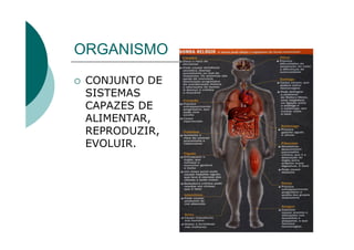 ORGANISMO
 CONJUNTO DE
 SISTEMAS
 CAPAZES DE
 ALIMENTAR,
 REPRODUZIR,
 EVOLUIR.
 