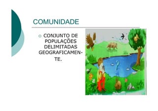 COMUNIDADE
  CONJUNTO DE
   POPULAÇÕES
   DELIMITADAS
 GEOGRAFICAMEN-
       TE.
 