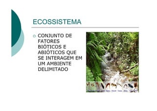 ECOSSISTEMA
 CONJUNTO DE
 FATORES
 BIÓTICOS E
 ABIÓTICOS QUE
 SE INTERAGEM EM
 UM AMBIENTE
 DELIMITADO
 