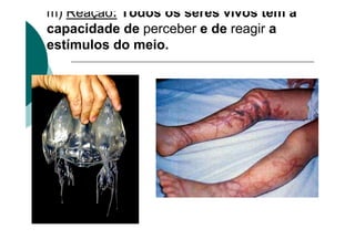 m) Reação: Todos os seres vivos têm a
capacidade de perceber e de reagir a
estímulos do meio.
 