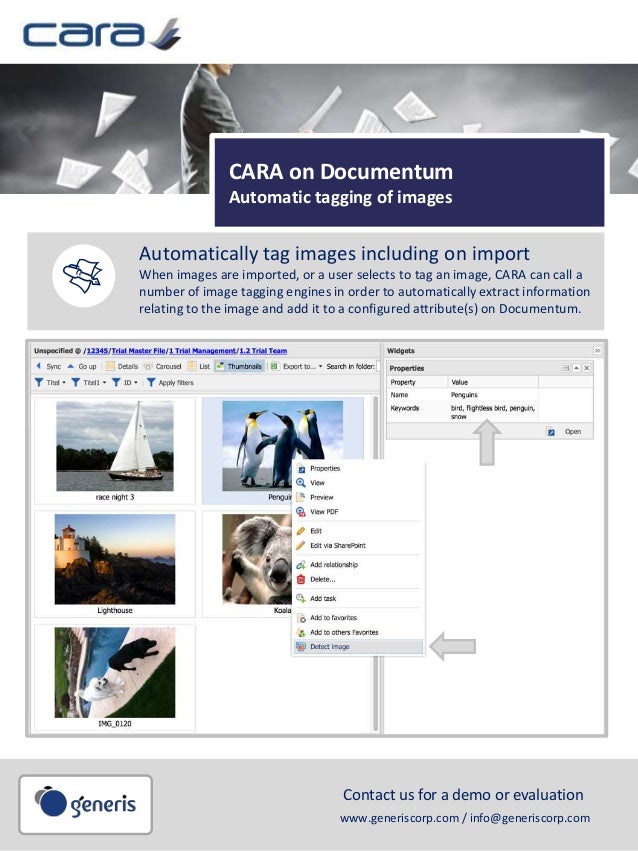 CARA for Documentum automatic image tagging