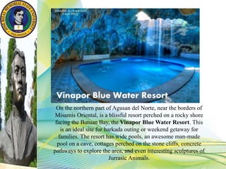 On the northern part of Agusan del Norte, near the borders of
Misamis Oriental, is a blissful resort perched on a rocky shore
facing the Butuan Bay, the Vinapor Blue Water Resort. This
is an ideal site for barkada outing or weekend getaway for
families. The resort has wide pools, an awesome man-made
pool on a cave, cottages perched on the stone cliffs, concrete
pathways to explore the area, and even interesting sculptures of
Jurrasic Animals.
Vinapor Blue Water Resort
 