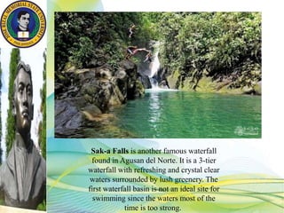 Sak-a Falls is another famous waterfall
found in Agusan del Norte. It is a 3-tier
waterfall with refreshing and crystal clear
waters surrounded by lush greenery. The
first waterfall basin is not an ideal site for
swimming since the waters most of the
time is too strong.
 