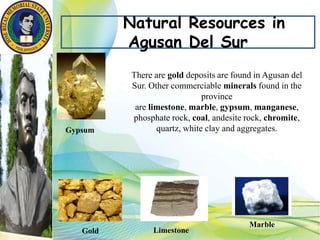 Natural Resources in
Agusan Del Sur
There are gold deposits are found in Agusan del
Sur. Other commerciable minerals found in the
province
are limestone, marble, gypsum, manganese,
phosphate rock, coal, andesite rock, chromite,
quartz, white clay and aggregates.
Gold Limestone
Marble
Gypsum
 
