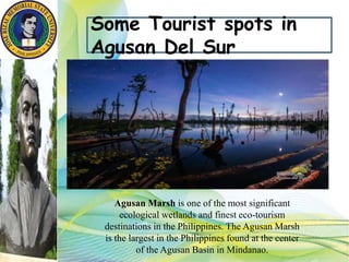 Some Tourist spots in
Agusan Del Sur
Agusan Marsh is one of the most significant
ecological wetlands and finest eco-tourism
destinations in the Philippines. The Agusan Marsh
is the largest in the Philippines found at the center
of the Agusan Basin in Mindanao.
 