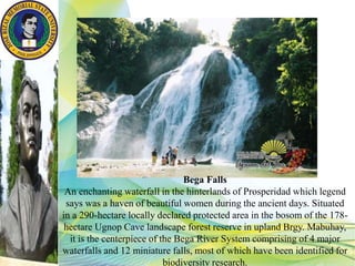 Bega Falls
An enchanting waterfall in the hinterlands of Prosperidad which legend
says was a haven of beautiful women during the ancient days. Situated
in a 290-hectare locally declared protected area in the bosom of the 178-
hectare Ugnop Cave landscape forest reserve in upland Brgy. Mabuhay,
it is the centerpiece of the Bega River System comprising of 4 major
waterfalls and 12 miniature falls, most of which have been identified for
biodiversity research.
 