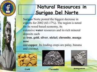 Natural Resources in
Surigao Del Norte
Surigao Norte posted the biggest decrease in
exports for 2002 (63.17%). The region is noted
for its wood based economy, its
extensive water resources and its rich mineral
deposits such
as iron, gold, silver, nickel, chromite, manga
nese
and copper. Its leading crops are palay, banana
and coconut.
Gold Chromite manganese
 