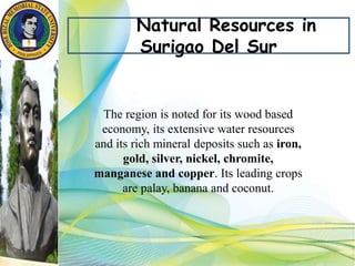 Natural Resources in
Surigao Del Sur
The region is noted for its wood based
economy, its extensive water resources
and its rich mineral deposits such as iron,
gold, silver, nickel, chromite,
manganese and copper. Its leading crops
are palay, banana and coconut.
 