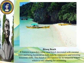 Bitaog Beach
It features a powdery white sand beach decorated with coconut
trees and being bordered on both ends by impressive and towering
limestone cliffs. This beach is also known for its turquoise waters
which is very alluring for swimming.
 