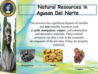 Natural Resources in
Agusan Del Norte
The province has significant deposits of metallic
and non-metallic resources such
as gold, manganese, copper, and construction
and decorative materials. These mineral
prospects can play a role in the economic
development of the province if they are properly
extracted.
GoldManganese
Copper
 