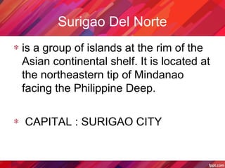 Surigao Del Norte
∗ is a group of islands at the rim of the
Asian continental shelf. It is located at
the northeastern tip of Mindanao
facing the Philippine Deep.
∗ CAPITAL : SURIGAO CITY
 