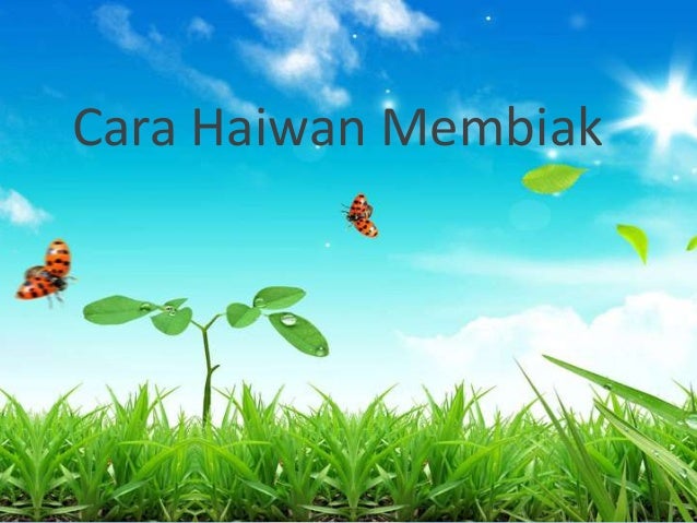  Cara haiwan membiak  dst t2