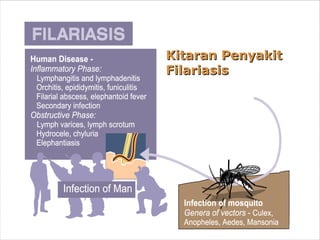Kitaran PenyakitKitaran Penyakit
FilariasisFilariasis
 
