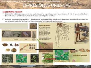 EXPRESIONES URBANAS
UNIVERSIDAD PRIVADA DE TACNA- FACULTAD DE ARQUITECTURA Y URBANISMO
CONOCIMIENTO Y CIENCIA
• La aplicación práctica de los conocimientos producidos por los especialistas mejoró las condiciones de vida de la sociedad de Caral.
Desarrollaron una serie de tecnologías sustentadas en la investigación científica.
• Utilizaron conocimientos de aritmética y geometría en el diseño y ejecución arquitectónica, los estudios astronómicos en la medición
del tiempo y la predicción del clima; y un sistema codificado en el registro de la información.
 
